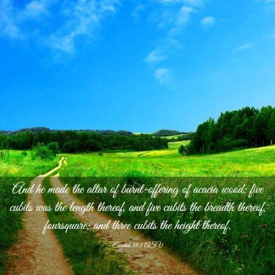 Picture 03 - Exodus 38:1 ASV - And he made the altar of burnt-offering of acacia - Bible Verse Picture