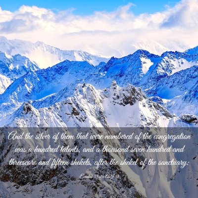 Picture 03 - Exodus 38:25 ASV - And the silver of them that were numbered of the - Bible Verse Picture