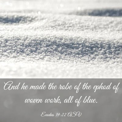 Picture 03 - Exodus 39:22 ASV - And he made the robe of the ephod of woven work, - Bible Verse Picture