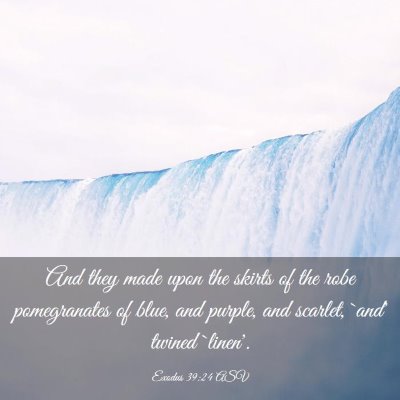 Picture 03 - Exodus 39:24 ASV - And they made upon the skirts of the robe - Bible Verse Picture