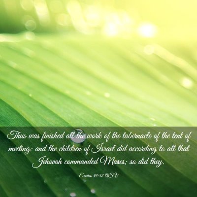 Picture 03 - Exodus 39:32 ASV - Thus was finished all the work of the tabernacle - Bible Verse Picture