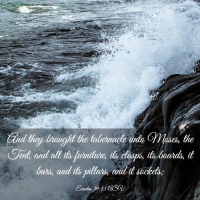 Picture 03 - Exodus 39:33 ASV - And they brought the tabernacle unto Moses, the - Bible Verse Picture