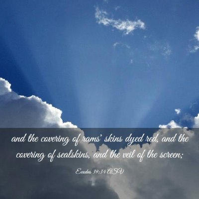 Picture 03 - Exodus 39:34 ASV - and the covering of rams' skins dyed red, and the - Bible Verse Picture
