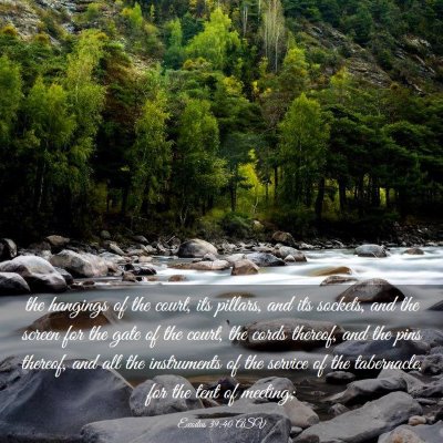 Picture 03 - Exodus 39:40 ASV - the hangings of the court, its pillars, and its - Bible Verse Picture