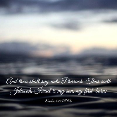 Picture 03 - Exodus 4:22 ASV - And thou shalt say unto Pharaoh, Thus saith - Bible Verse Picture