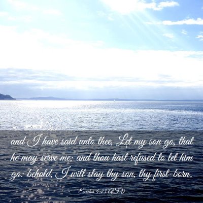 Picture 03 - Exodus 4:23 ASV - and I have said unto thee, Let my son go, that he - Bible Verse Picture