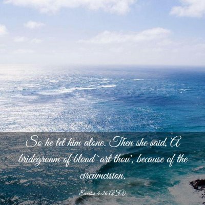 Picture 03 - Exodus 4:26 ASV - So he let him alone. Then she said, A bridegroom - Bible Verse Picture