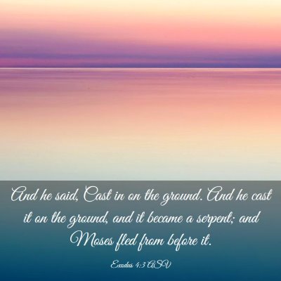 Picture 03 - Exodus 4:3 ASV - And he said, Cast in on the ground. And he cast - Bible Verse Picture