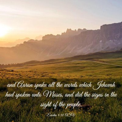 Picture 03 - Exodus 4:30 ASV - and Aaron spake all the words which Jehovah had - Bible Verse Picture