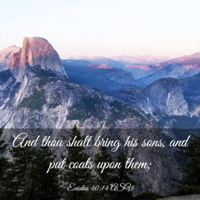 Picture 03 - Exodus 40:14 ASV - And thou shalt bring his sons, and put coats upon - Bible Verse Picture