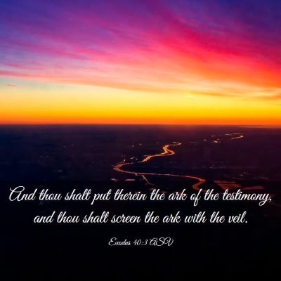 Picture 03 - Exodus 40:3 ASV - And thou shalt put therein the ark of the - Bible Verse Picture