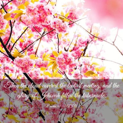 Picture 03 - Exodus 40:34 ASV - Then the cloud covered the tent of meeting, and - Bible Verse Picture