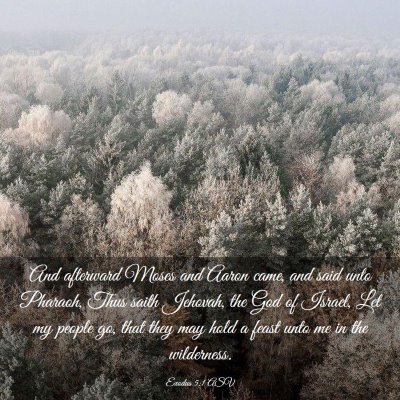 Picture 03 - Exodus 5:1 ASV - And afterward Moses and Aaron came, and said unto - Bible Verse Picture