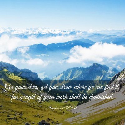 Picture 03 - Exodus 5:11 ASV - Go yourselves, get you straw where ye can find - Bible Verse Picture