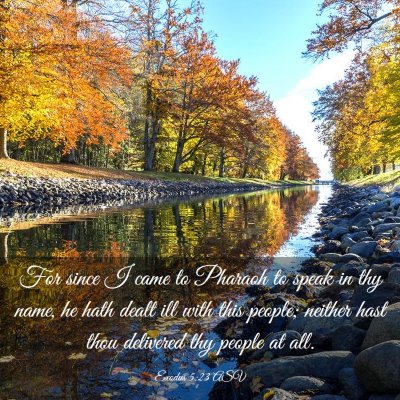 Picture 03 - Exodus 5:23 ASV - For since I came to Pharaoh to speak in thy name, - Bible Verse Picture