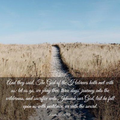 Picture 03 - Exodus 5:3 ASV - And they said, The God of the Hebrews hath met - Bible Verse Picture
