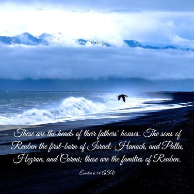 Picture 03 - Exodus 6:14 ASV - These are the heads of their fathers' houses. The - Bible Verse Picture