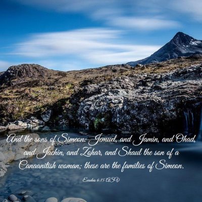 Picture 03 - Exodus 6:15 ASV - And the sons of Simeon: Jemuel, and Jamin, and - Bible Verse Picture