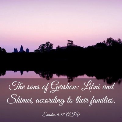Picture 03 - Exodus 6:17 ASV - The sons of Gershon: Libni and Shimei, according - Bible Verse Picture