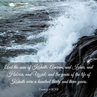 Picture 03 - Exodus 6:18 ASV - And the sons of Kohath: Amram, and Izhar, and - Bible Verse Picture