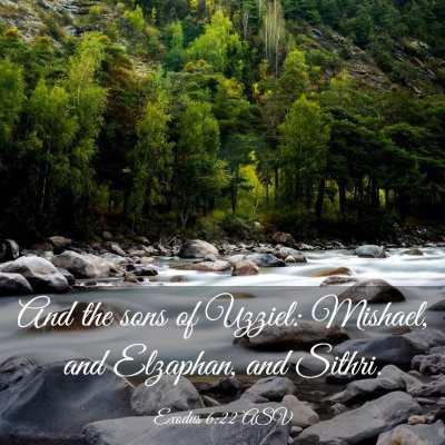 Picture 03 - Exodus 6:22 ASV - And the sons of Uzziel: Mishael, and Elzaphan, - Bible Verse Picture