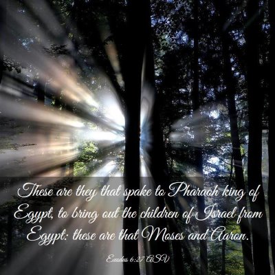 Picture 03 - Exodus 6:27 ASV - These are they that spake to Pharaoh king of - Bible Verse Picture