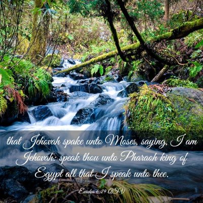Picture 03 - Exodus 6:29 ASV - that Jehovah spake unto Moses, saying, I am - Bible Verse Picture
