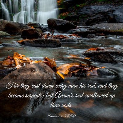 Picture 03 - Exodus 7:12 ASV - For they cast down every man his rod, and they - Bible Verse Picture