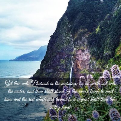 Picture 03 - Exodus 7:15 ASV - Get thee unto Pharaoh in the morning; lo, he - Bible Verse Picture