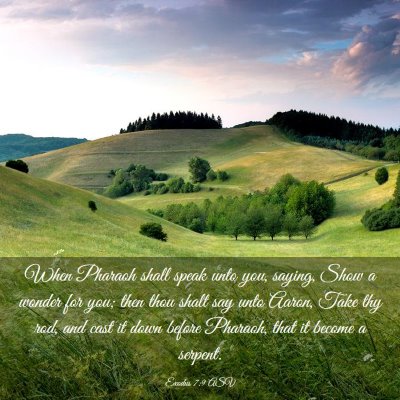Picture 03 - Exodus 7:9 ASV - When Pharaoh shall speak unto you, saying, Show a - Bible Verse Picture