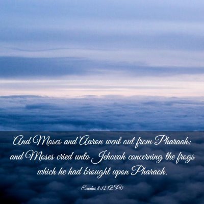 Picture 03 - Exodus 8:12 ASV - And Moses and Aaron went out from Pharaoh: and - Bible Verse Picture