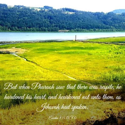 Picture 03 - Exodus 8:15 ASV - But when Pharaoh saw that there was respite, he - Bible Verse Picture