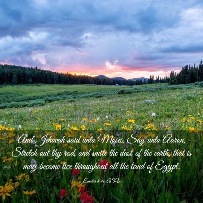 Picture 03 - Exodus 8:16 ASV - And Jehovah said unto Moses, Say unto Aaron, - Bible Verse Picture