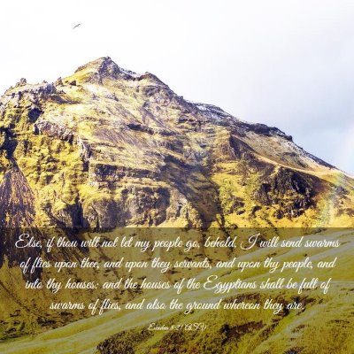 Picture 03 - Exodus 8:21 ASV - Else, if thou wilt not let my people go, behold, - Bible Verse Picture