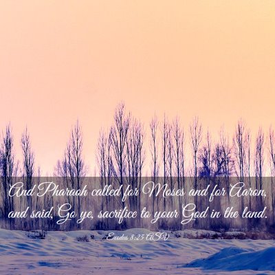 Picture 03 - Exodus 8:25 ASV - And Pharaoh called for Moses and for Aaron, and - Bible Verse Picture