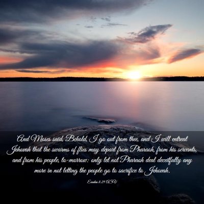 Picture 03 - Exodus 8:29 ASV - And Moses said, Behold, I go out from thee, and I - Bible Verse Picture
