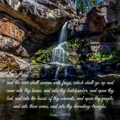 Picture 03 - Exodus 8:3 ASV - and the river shall swarm with frogs, which shall - Bible Verse Picture