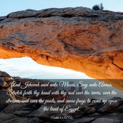 Picture 03 - Exodus 8:5 ASV - And Jehovah said unto Moses, Say unto Aaron, - Bible Verse Picture