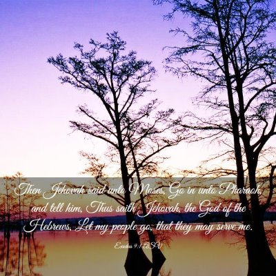 Picture 03 - Exodus 9:1 ASV - Then Jehovah said unto Moses, Go in unto Pharaoh, - Bible Verse Picture