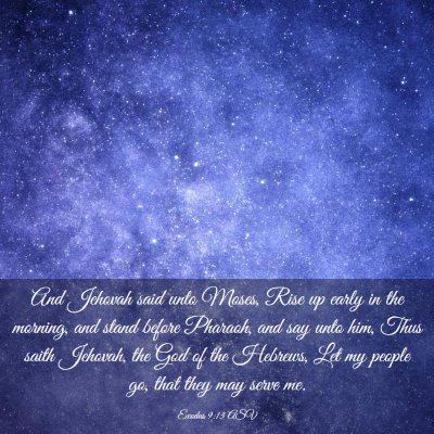 Picture 03 - Exodus 9:13 ASV - And Jehovah said unto Moses, Rise up early in the - Bible Verse Picture