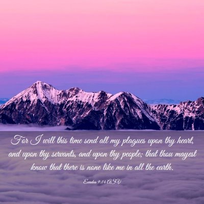 Picture 03 - Exodus 9:14 ASV - For I will this time send all my plagues upon thy - Bible Verse Picture