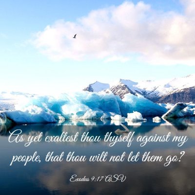 Picture 03 - Exodus 9:17 ASV - As yet exaltest thou thyself against my people, - Bible Verse Picture