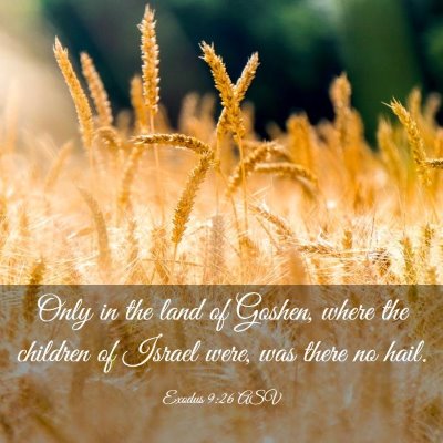 Picture 03 - Exodus 9:26 ASV - Only in the land of Goshen, where the children of - Bible Verse Picture