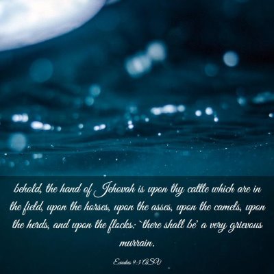 Picture 03 - Exodus 9:3 ASV - behold, the hand of Jehovah is upon thy cattle - Bible Verse Picture