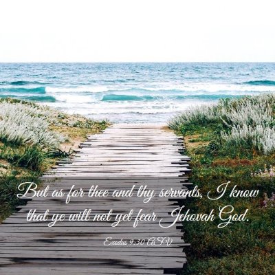 Picture 03 - Exodus 9:30 ASV - But as for thee and thy servants, I know that ye - Bible Verse Picture