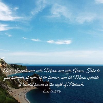 Picture 03 - Exodus 9:8 ASV - And Jehovah said unto Moses and unto Aaron, Take - Bible Verse Picture