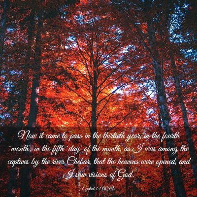 Picture 03 - Ezekiel 1:1 ASV - Now it came to pass in the thirtieth year, in the - Bible Verse Picture