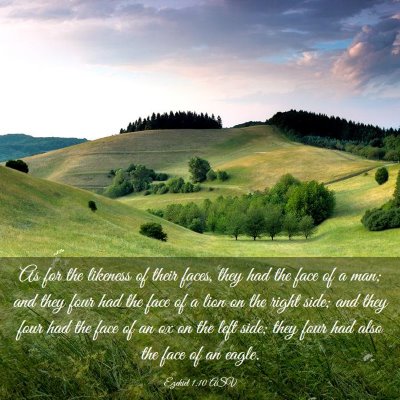 Picture 03 - Ezekiel 1:10 ASV - As for the likeness of their faces, they had the - Bible Verse Picture