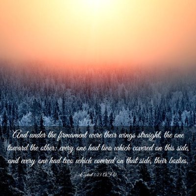 Picture 03 - Ezekiel 1:23 ASV - And under the firmament were their wings - Bible Verse Picture