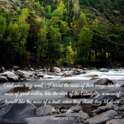 Picture 03 - Ezekiel 1:24 ASV - And when they went, I heard the noise of their - Bible Verse Picture